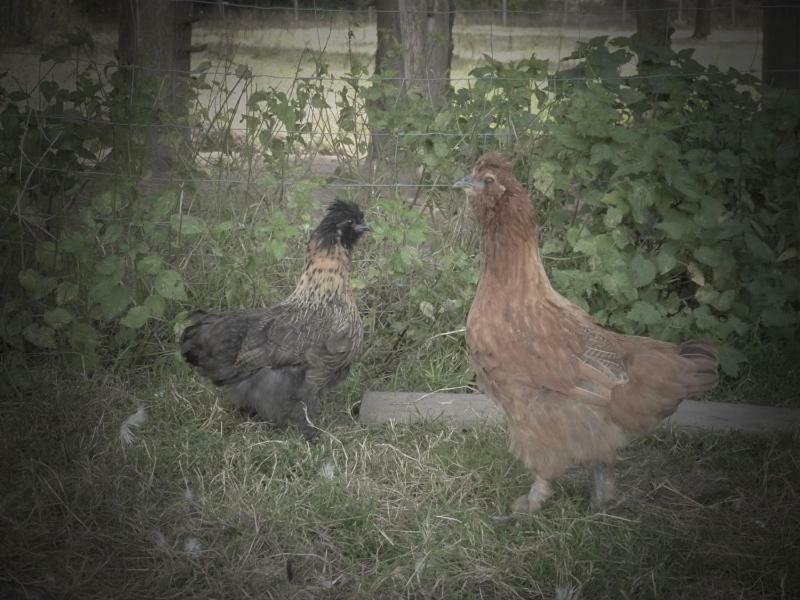 La Ferme Du Vincin Bed & Breakfast Ван Екстериор снимка