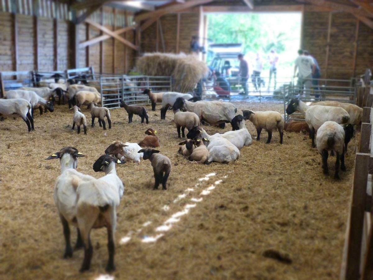 La Ferme Du Vincin Bed & Breakfast Ван Екстериор снимка